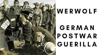 Werwolf - German postwar guerilla movement (1944-1947)
