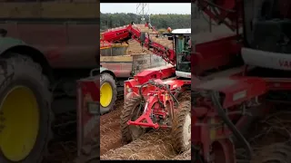 biggest tractor work in agriculture field#tractor #shorts #agriculture #tractormandi