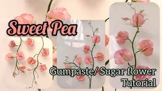 Sweetpea gumpaste tutorial/ how to make sweet pea sugar flower