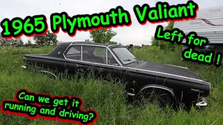 1965 Plymouth Valiant Signet parked for years, will it run and drive?