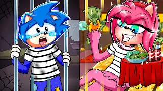 Poor Sonic vs Rich Amy|| Very Sad Story || Sonic Animation
