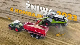 Żniwa pszenicy na 4 kombajny X2 Claas Lexion 8900|X2 Claas Lexion 7000|  |X3 John Deere 8r|