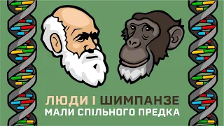 Люди і шимпанзе мають спільне походження. ДНК-докази [Stated Clearly]
