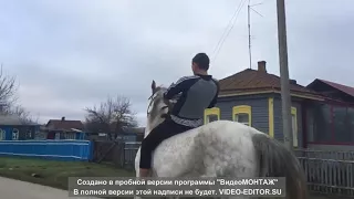 продам или обменяю рысачку