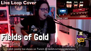 Sting - Fields of Gold (Live Loop Cover)