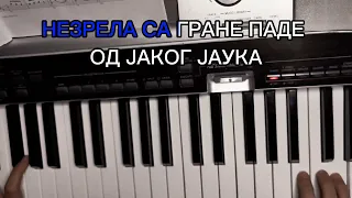 Breskvica - Gnezdo Orlovo on Piano (Eurosong 2024)