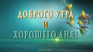 🎶💗🌞Доброго Утра и Хорошего Дня!