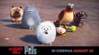 Discover #TheSecretLifeOfPets in cinemas AUG. 24