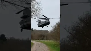 Crazy US Pilot Chinook Helicopter Hovers In Wooded Area #shorts