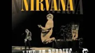 Nirvana - Live @ Reading 1992 - (14) On A Plain