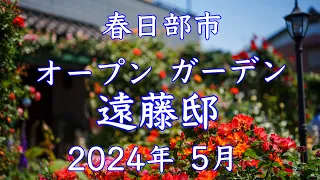 【4K オープンガーデン遠藤邸2024 薔薇の最盛期🌹見頃になりました！】沢山のオブジェと季節のお花に囲まれた個人邸