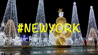 NEW YORK  | HD, AMAZE LIGHT FESTIVAL, XMAS VIBES