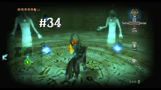 LoZ: Twilight Princess BLIND | The Elusive Poe