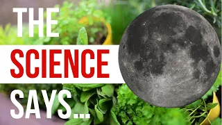 Does Moon Phase Planting REALLY Effect Plants? Old Wives Tale OR Based In Science? | Garden Science
