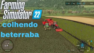 COMO FAZER RAMINHO DE BETERRABA/FZ LAPACHO FARM/PC/farming simulator 22 #morcegao game #