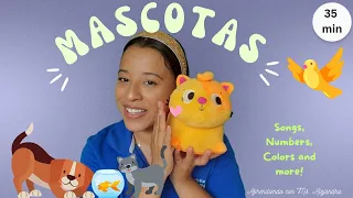 Learn about Pets/ Mascotas in English & Spanish| Songs, Numbers, and more!