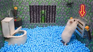 🐹 Hamster Escapes the Awesome Double Prison Maze with Minecraft Creeper🐹 for Pets in real life