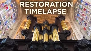 Organ Restoration: Timelapse