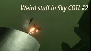 Funny sightings and weird glitches compilation #2 [Sky COTL]