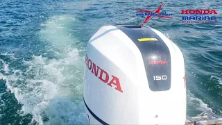 Honda Marine 150 SPORTY WHITE