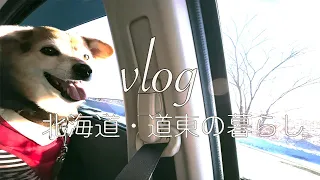 古民家台所仕事の日々/能取岬と流氷を見にいく休日イヌとドライブ『vlog北海道・道東の暮らし』Life in Hokkaido, Japan