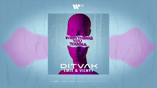 DITVAK, Emie, VILNYY - Everything You Wanna