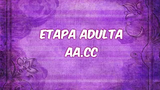 Altas-capacidades-etapa adulta