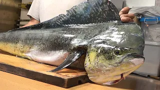 Amazing Giant Mahi Mahi cutting skills- fried fish steak  Taiwanese street food