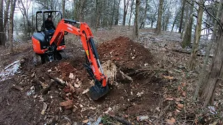 Digging Up Stumps With The Mini