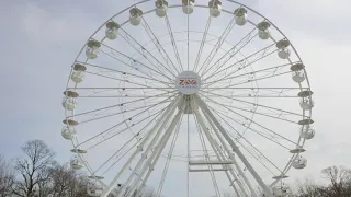 Brookfield Zoo's anniversary Ferris wheel now open