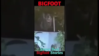 Bigfoot In My Garden!!! 😨😨  #Bigfoots testimony