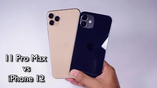 iPhone 11 Pro Max vs iPhone 12 COMPARISON in 2023 which one is better, which one to buy?