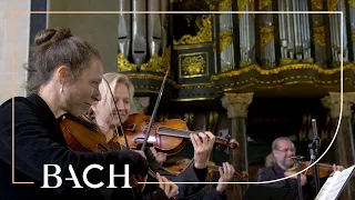 Bach - Sinfonia (presto) from Cantata BWV 35 | Netherlands Bach Society