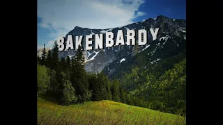 BAKENBARDY - Bakenbardy