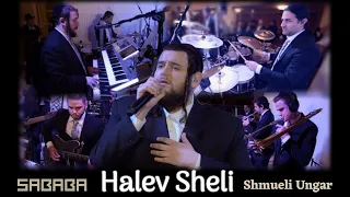 “Halev Sheli” Sababa Band Ft. Shmueli Ungar -  הלב שלי - סבבה עם שמילי אונגר (REPOST)