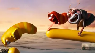 LARVA - THE BIG SWIM | Cartoon Movie | Cartoons For Children | Larva Cartoon | LARVA Official