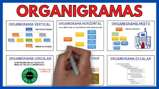 ORGANIZATION of a COMPANY and its TYPES 🌃 | Business Economics 146#