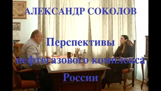 Соколов А.В. ООО «ПЕТРОГЕКО». Перспективы нефтегазового комплекса России