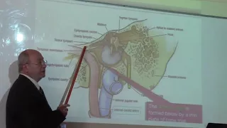 Respiratory  Module  3 (Middle ear ) by Dr. Wahdan