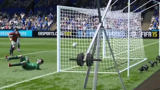 Stupid Fifa 15 goal