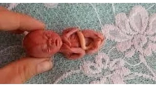 5 real miracle (चमत्कार)caught and spotted real on camera |Viral video| AnyFacts |