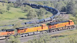 BNSF Tanker train ascends the Tehachapi loop! (04/13/2024)