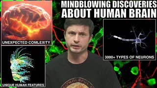 Groundbreaking Discoveries About Human Brain and Neuronal Complexity