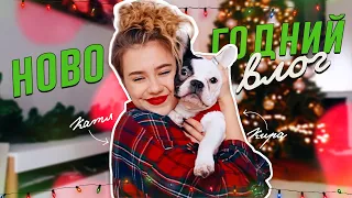 Новогодний Vlogmas! Наряжаем ёлку❤️