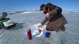 Труба зовёт! Шарыпово 2021