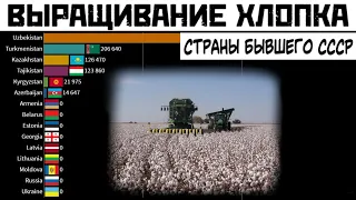 Производство хлопка в странах бывшего СССР (СНГ, Прибалтика) - Узбекистане, Казахстане, Азербайджане