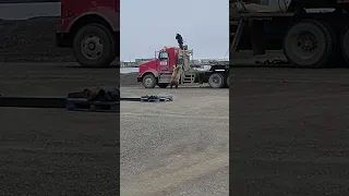 Truck driver chased by grizzly bear in Deadhorse Alaska