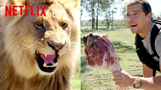 Bear Grylls Chased by a Lion | Animals on the Loose: A You vs. Wild Movie | Netflix After School