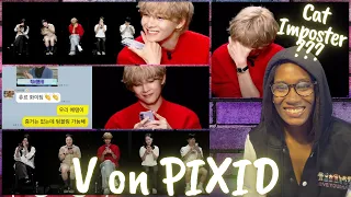 V The Cat Human Imposter On PIXID | BTS 💜 | REACTION