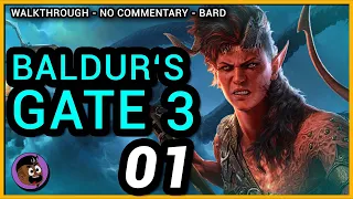 Baldur's Gate 3 Complete Walkthrough Part 01 - The Beginning - No Commentary (PC)